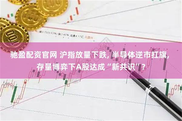 驰盈配资官网 沪指放量下跌, 半导体逆市扛旗, 存量博弈下A股达成“新共识”?